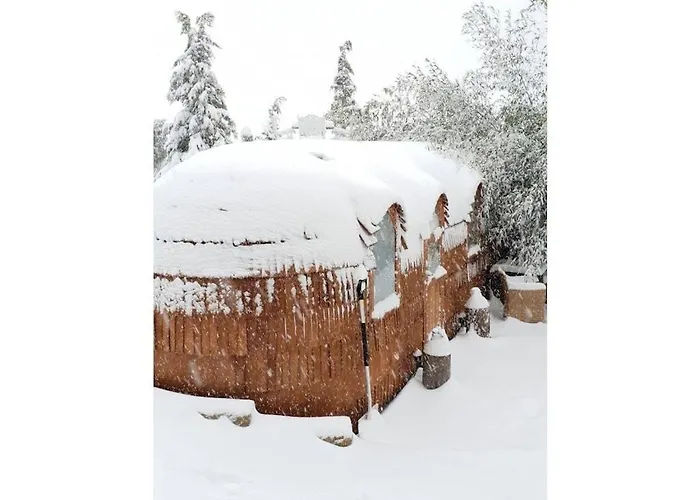 Tiny House Alpenpanorama Igluhut