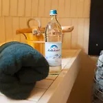 Tiny House Alpenpanorama Igluhut