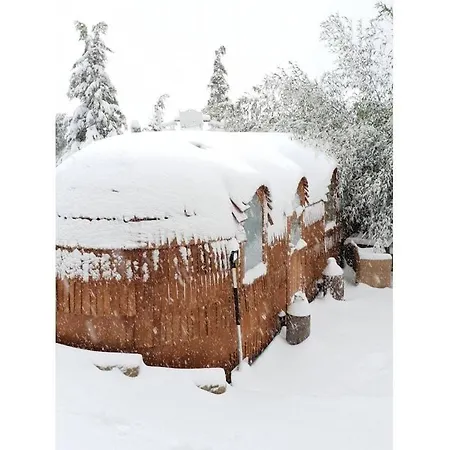 Tiny House Alpenpanorama Igluhut