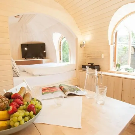 Tiny House Alpenpanorama Igluhut Hergensweiler