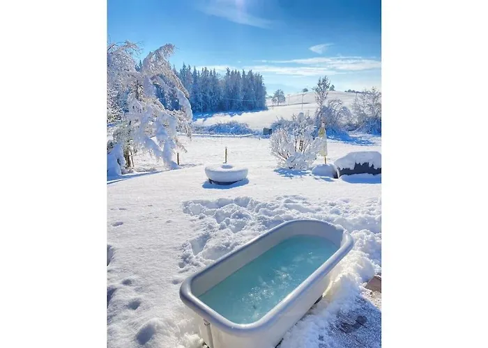 Dağ evi Tiny House Alpenpanorama Igluhut *